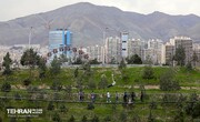 کیفیت هوای تهران قابل‌قبول است/ سهم پایتخت از روزهای پاک در سال ۱۴۰۲