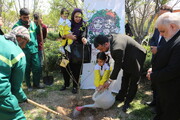کاشت نهال ایثار در بوستان بانوان منطقه ۲۰ برگزار شد