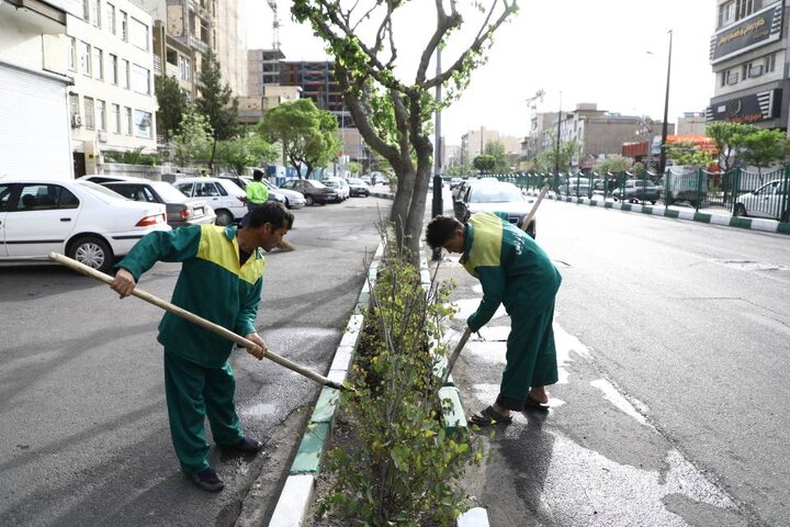 آراستگی محلات منطقه۱۳ با تداوم طرح نگهداشت شهر در سال ۱۴۰۲