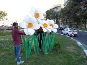 المان نوری گل نرگس در میدان کمال الملک منطقه ۲۱ نصب شد
