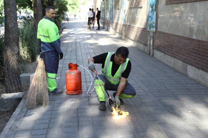 خیابان پیروزی آراسته و پاکسازی شد 