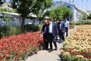 بازدید مدیرعامل شرکت نوسازی عباس‌آباد از نمایشگاه گل و گیاه 
