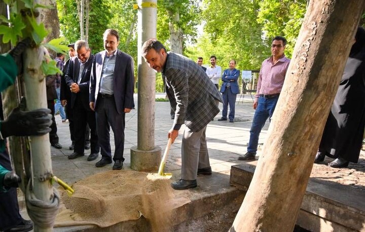 تمام درختان خشکیده تهران به مرور اصلاح و با غرس درختان جدید احیاء می‌شوند