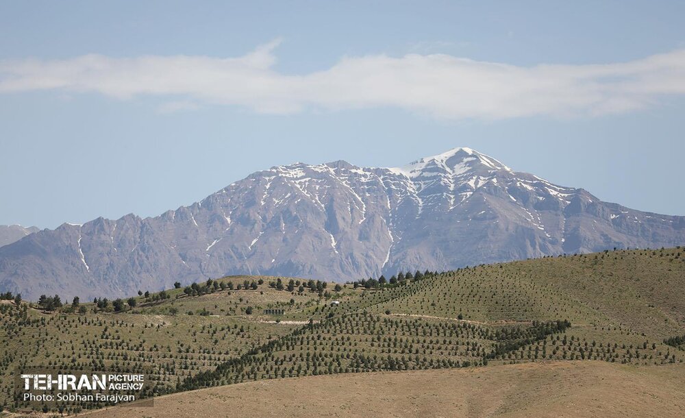 اقدامات شهرداری تهران در حوزه کاهش آلایندهها؛ از برقیسازی تا نوماند