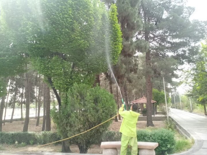 آغاز عملیات پایش فضای سبز منطقه 19 برای دفع آفات و کنترل عوامل خسارت زا