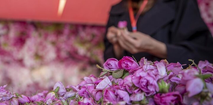 گل و گلاب در تهران