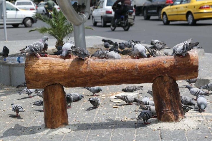ایستگاه تماشایی فرود و پرواز