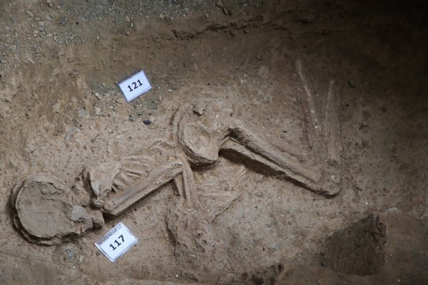اعلام آمادگی شهرداری برای کمک به ادامه اکتشافات و تاسیس موزه درخصوص اسکلت بانوی ۷ هزار ساله