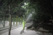 اجرای عملیات آبشویی شبانه برای کنترل عوامل خسارت زا به درختان منطقه ۱۹