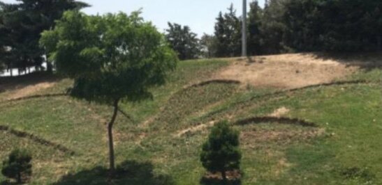 نقش طرح فرش گل بر اتوبان ستاری