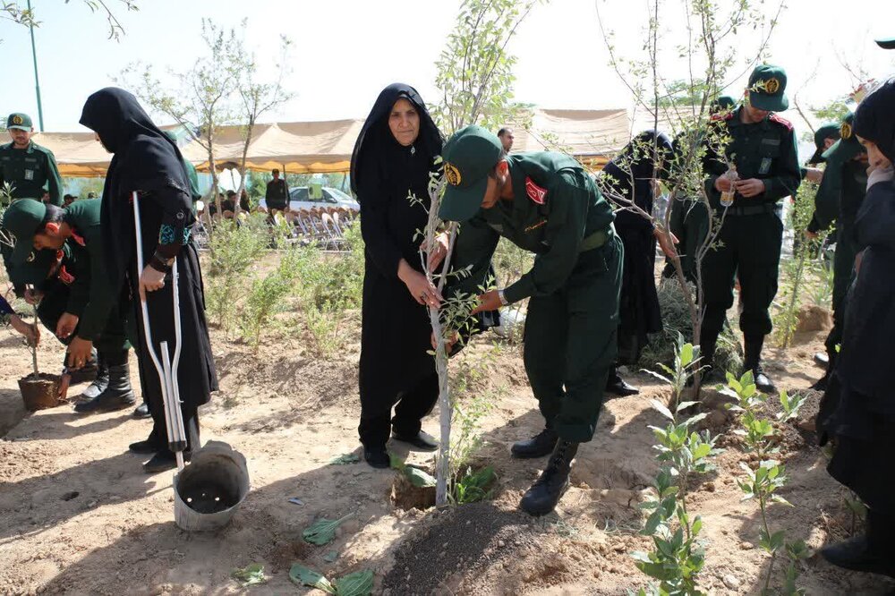 غرس ۵۰۰ اصله نهال با حضور خانوادههای شهدا در بهشت زهرا (س)/ ۳۸۰۰ نهال به یاد شهدا کاشته میشود