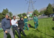 اجرای طرح ویژه فضای سبز در محورهای شاخص منطقه یک تهران
