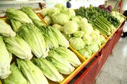 سبزیجات در میادین و بازارهای تره بار ۳۲درصد ارزان‌تر از سطح شهر فروخته می‌شود