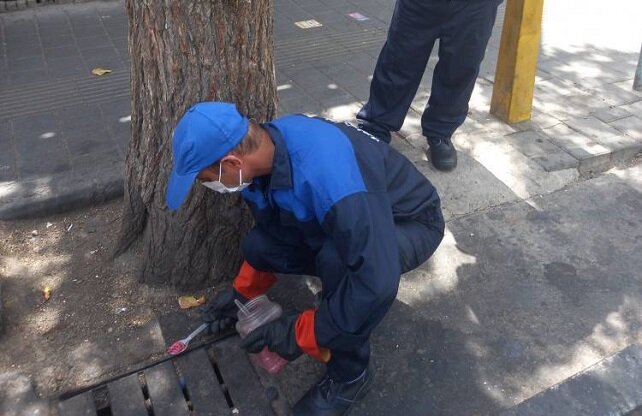   اجرای طرح تابستانه مبارزه با جانوران مضر شهری در خیابان شکوفه
