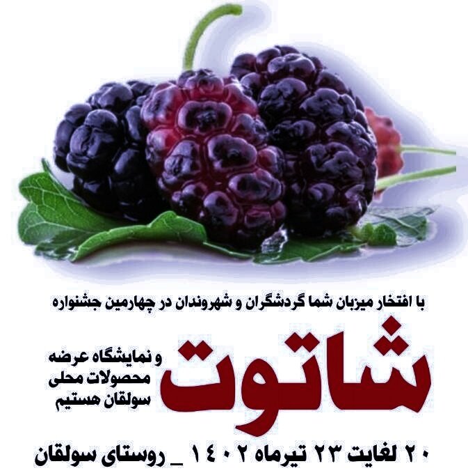 افتتاحیه چهارمین جشنواره شاتوت در منطقه ۲۲