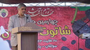 چهارمین جشنواره شاتوت سولقان در حریم منطقه پنج افتتاح شد
