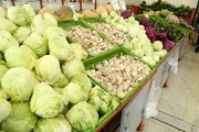 سبزیجات در میادین و بازارهای تره بار ۳۱ درصد ارزان‌تر از سطح شهر عرضه شد
