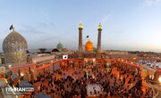 تصویب یک فوریت لایحه ثبت جهانی شهرری