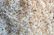 قیمت برنج در میادین و بازارهای میوه و تره بار ارزان شد