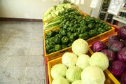 سبزیجات را ۳۳درصد ارزان تر در میادین و بازارهای میوه و تره بار بخرید