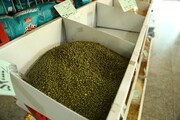 قیمت حبوبات بسته‌بندی شرکتی در میادین و بازارهای میوه و تره بار تهران اعلام شد