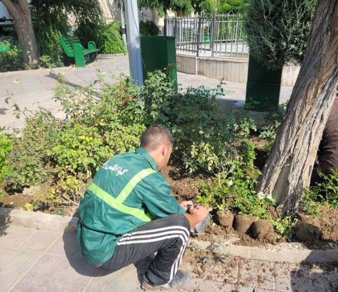 باز پیرایی بوستان‌های منطقه ۹