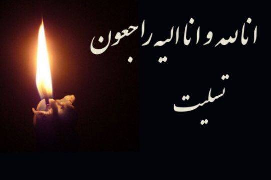 پیام تسلیت شهردار منطقه یک تهران در پی حادثه اجرای حکم برای ساختمان غیرمجاز در جنوب تهران