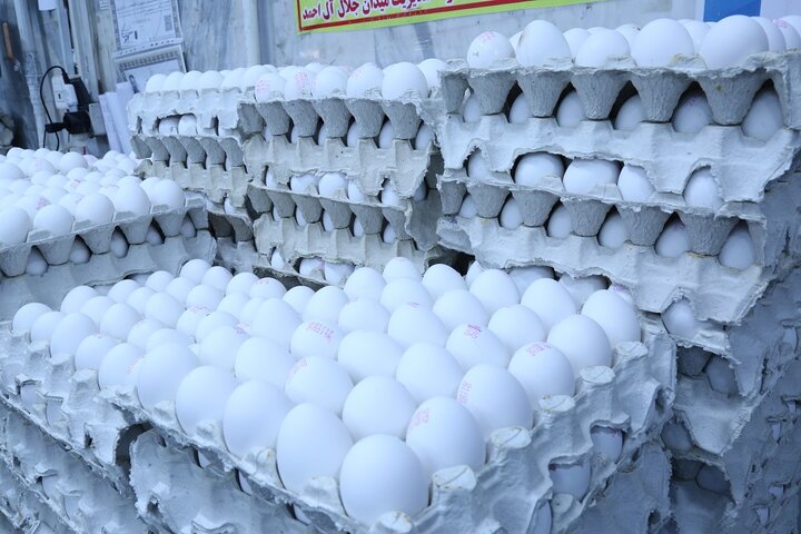 قیمت تخم مرغ پوسته سفید در میادین و بازارهای میوه و تره‌بار اعلام شد