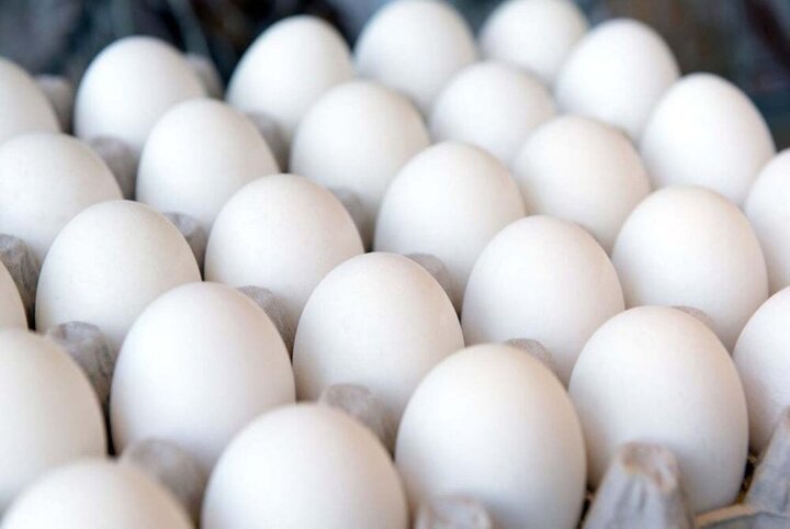 قیمت تخم مرغ پوسته سفید در میادین و بازارهای میوه و تره‌بار اعلام شد