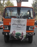 اجرای طرح جایگزینی درختان خشک با درختان سبز در شمال تهران