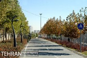 ذره‌بین/ وعده شرکت آبفا برای آبیاری درختان بوستان چیتگر