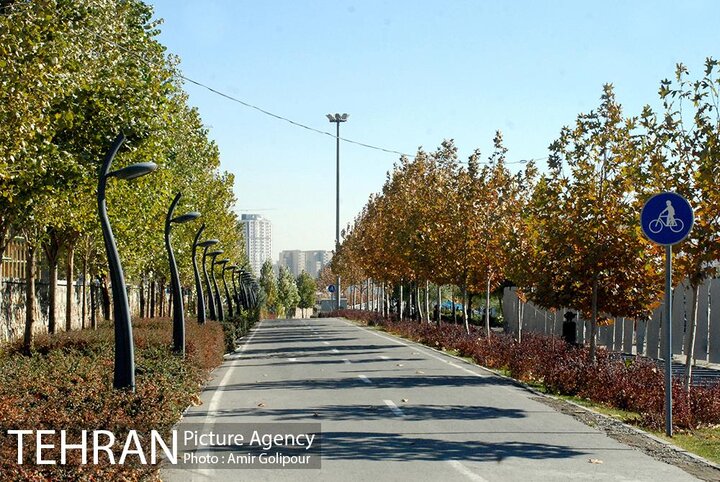 کاشت ۵۰ هزار اصله درخت در بوستان چیتگر تا پایان سال