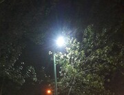 سیمای شبانه فضای سبز محلات منطقه ۱۴ روشن تر شد