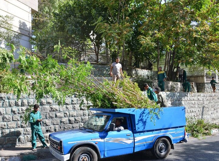 بازپیرایی ۳ هزار متر مربع فضای سبز بزرگراه شهید صدر