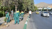 ۳۵۰۰ مترمربع فضای سبز بزرگراه شهید چمران بازپیرایی شد