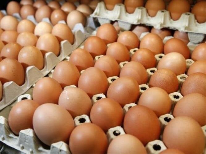 قیمت تخم‌مرغ پوسته قهوه‌ای در میادین و بازارهای میوه و تره‌بار اعلام شد