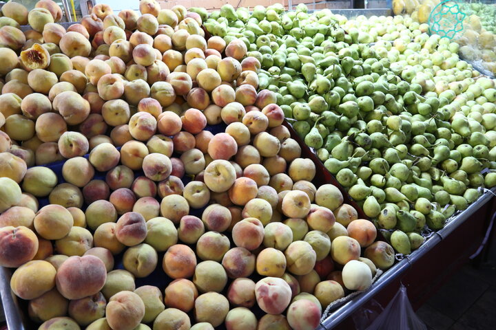 قیمت نوبرانه های پاییزی و انواع سبزیجات برگی و غیربرگی در میادین و بازارهای میوه و تره‌بار اعلام شد