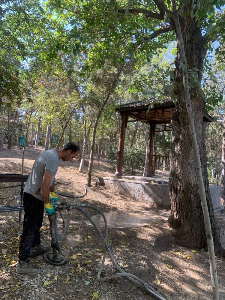 مجموعه اقدامات نگهداشت فضای سبز اراضی عباسآباد به روایت آمار