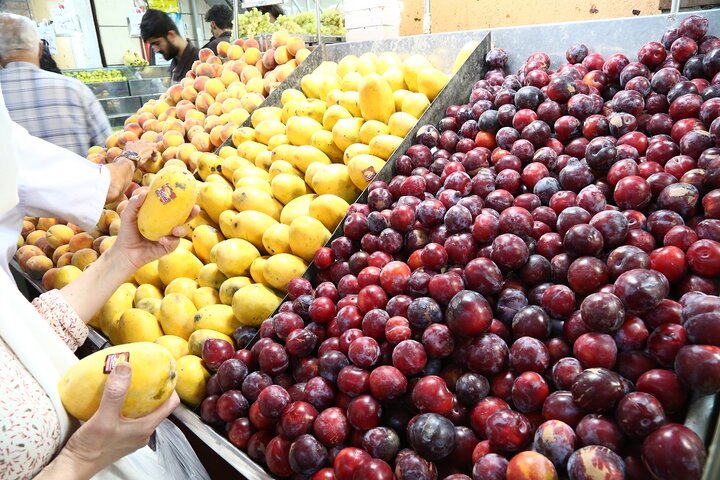 قیمت انواع میوه در میادین و بازارهای میوه و تره‌بار اعلام شد