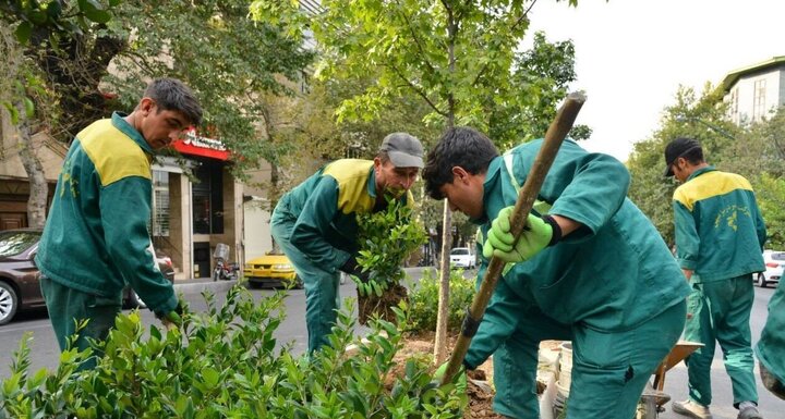 طرح ویژه ساماندهی رفیوژ بزرگراه شهید همت 
