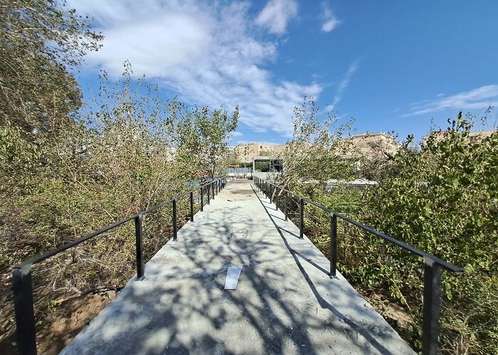  باغ انارستان در منطقه ۵ احداث می‌شود