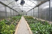 افتتاح باغ تخصصی گیاهشناسی و مزارع خانواده در منطقه ۱۴