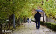 پیش‌بینی بارش‌های نرمال در تهران برای ۳ ماه آینده