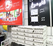 قیمت تخم‌مرغ پوسته‌سفید در میادین و بازارهای میوه و تره‌بار اعلام شد