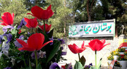 بوستان ریحانه پذیرای۵۰ هزار دانش‌آموز تهرانی
