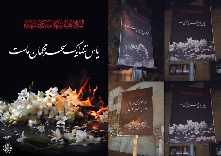 "بوی یاس" در شهر پیچید 