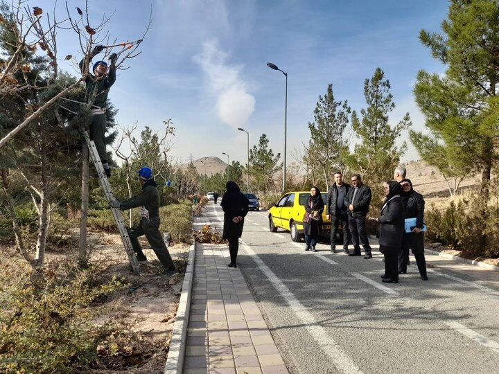 هرس بیش از ۲۰۰۰ هزار اصله درخت در منطقه۱۳