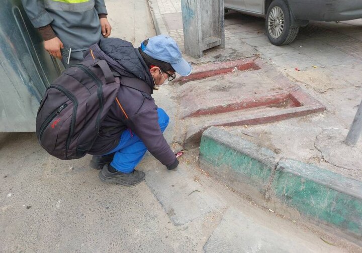 اجرای طرح مبارزه با جانوران مضر شهری در منطقه۹