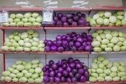 قیمت سبزیجات در میادین و بازارهای میوه و تره‌بار ارزان و نرخ میوه‌ها اعلام شد