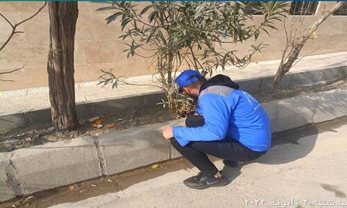 اجرای طعمه‌گذاری و طرح دفع جانوران مضر شهری در معابر ناحیه ۳ منطقه ۵